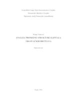 prikaz prve stranice dokumenta Analiza promjena strukture kapitala trgovačkih društava